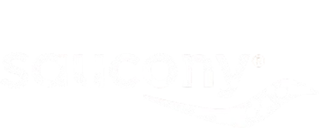 Saucony logo